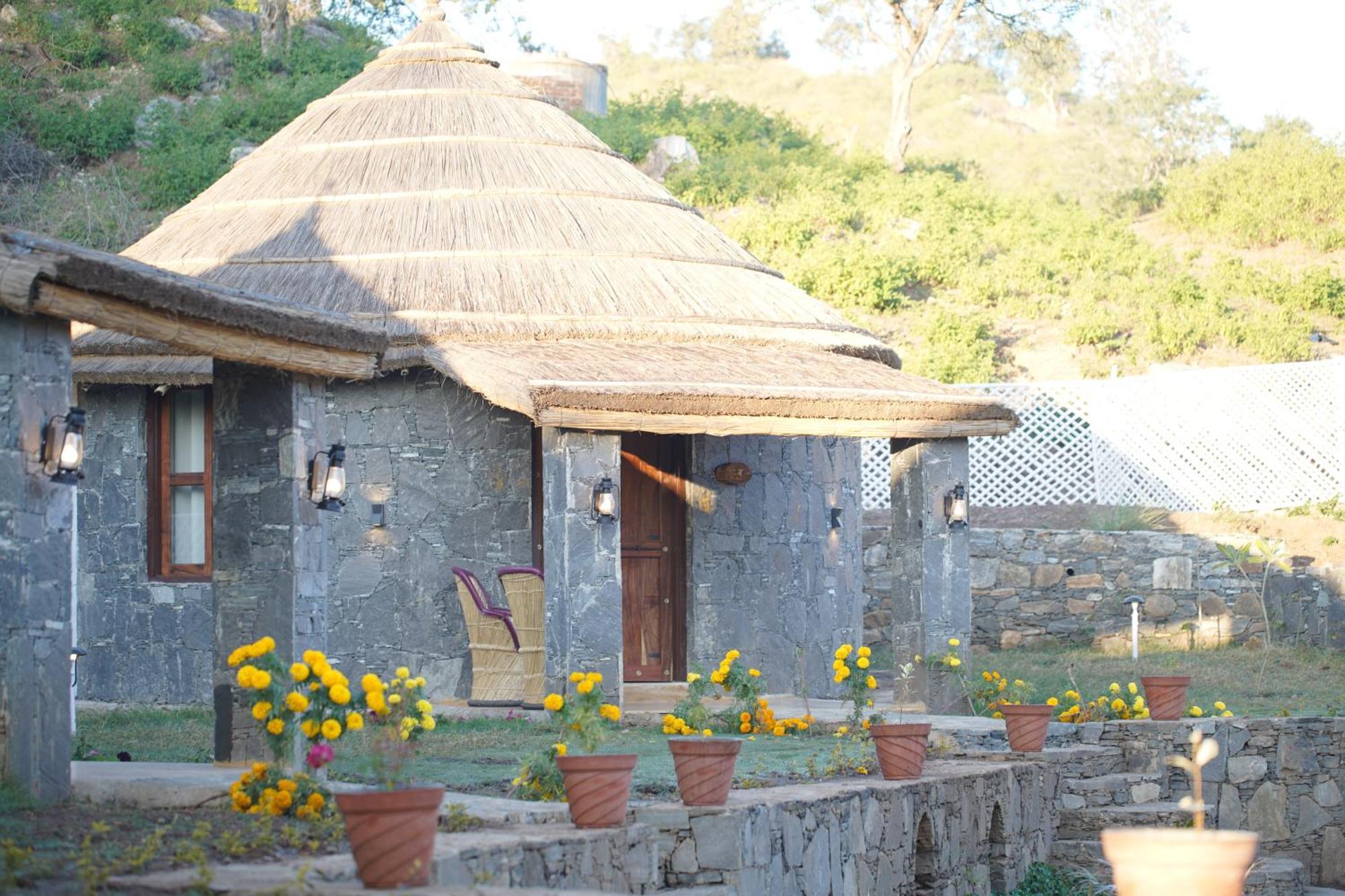 Turban Nature Wilderness , كمبالغره المظهر الخارجي الصورة